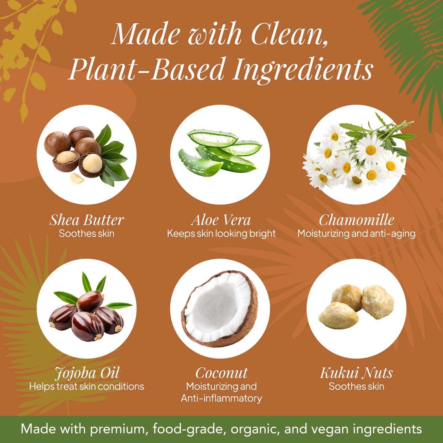 Tropical Coconut Body Cream